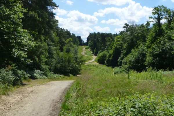 Hawley Common